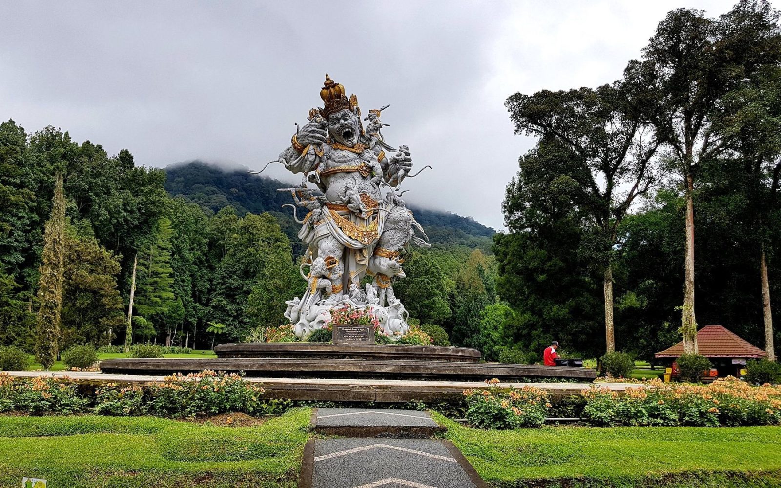 Bedugul Highlands & Lovina Dolphin Expedition (Lovina Tour)