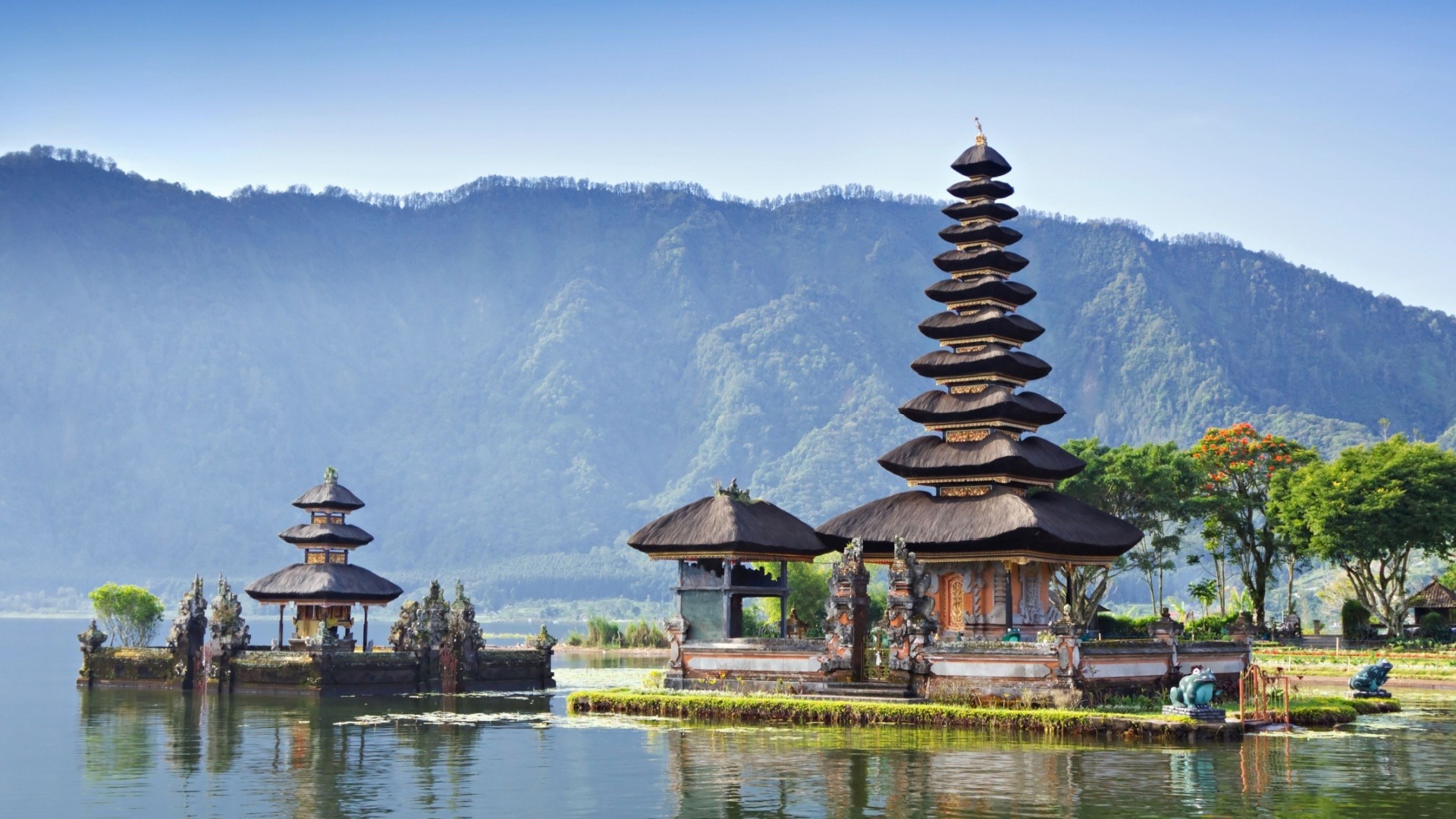Bedugul Highlands & Lovina Dolphin Expedition (Lovina Tour)