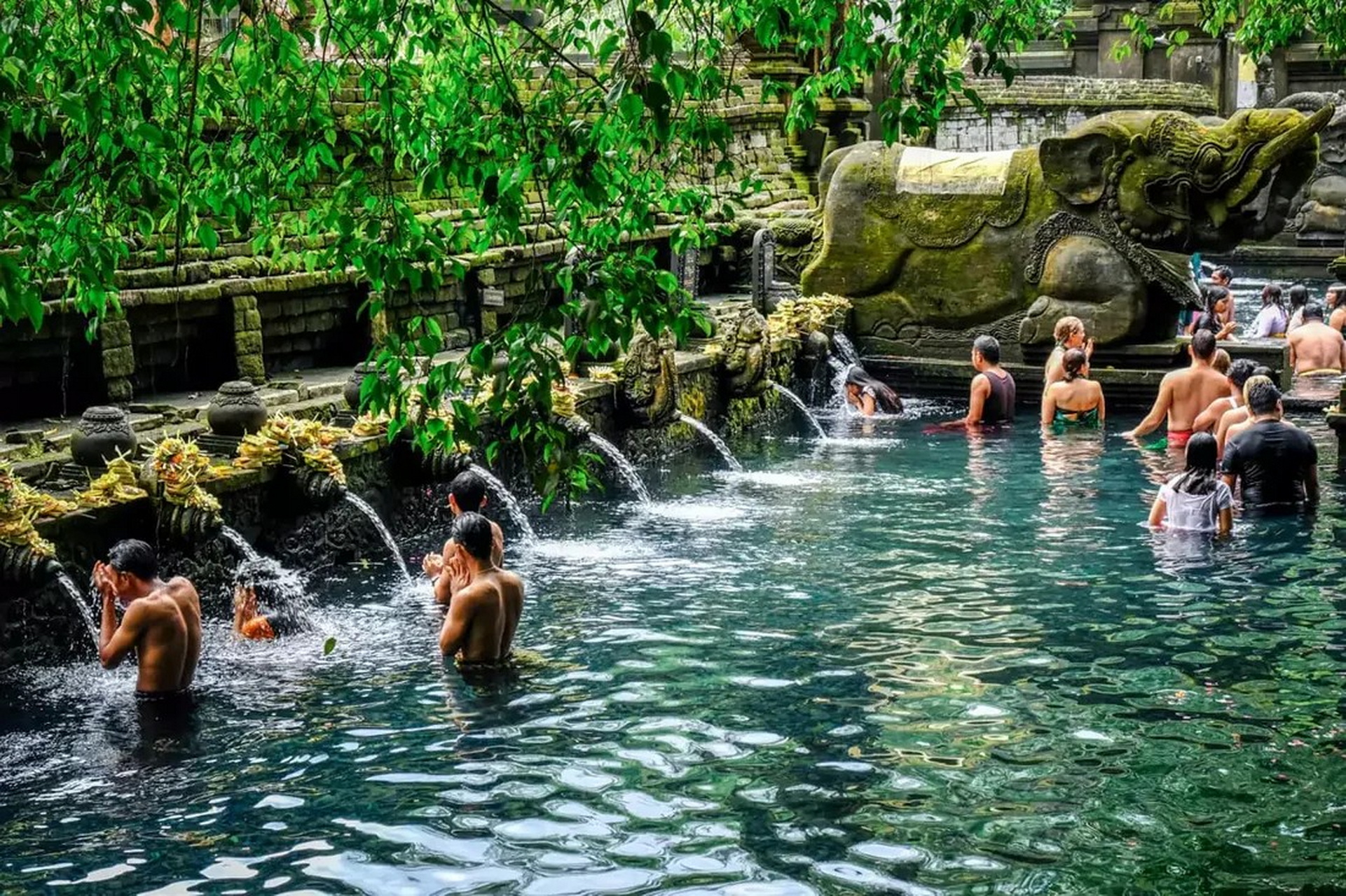 Bali Jungle Adventure & Cultural Journey (Ubud Tour)