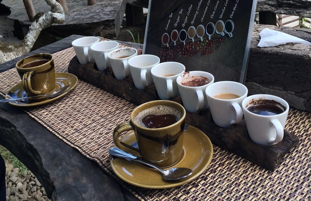 Bali Jungle Adventure & Cultural Journey (Ubud Tour)